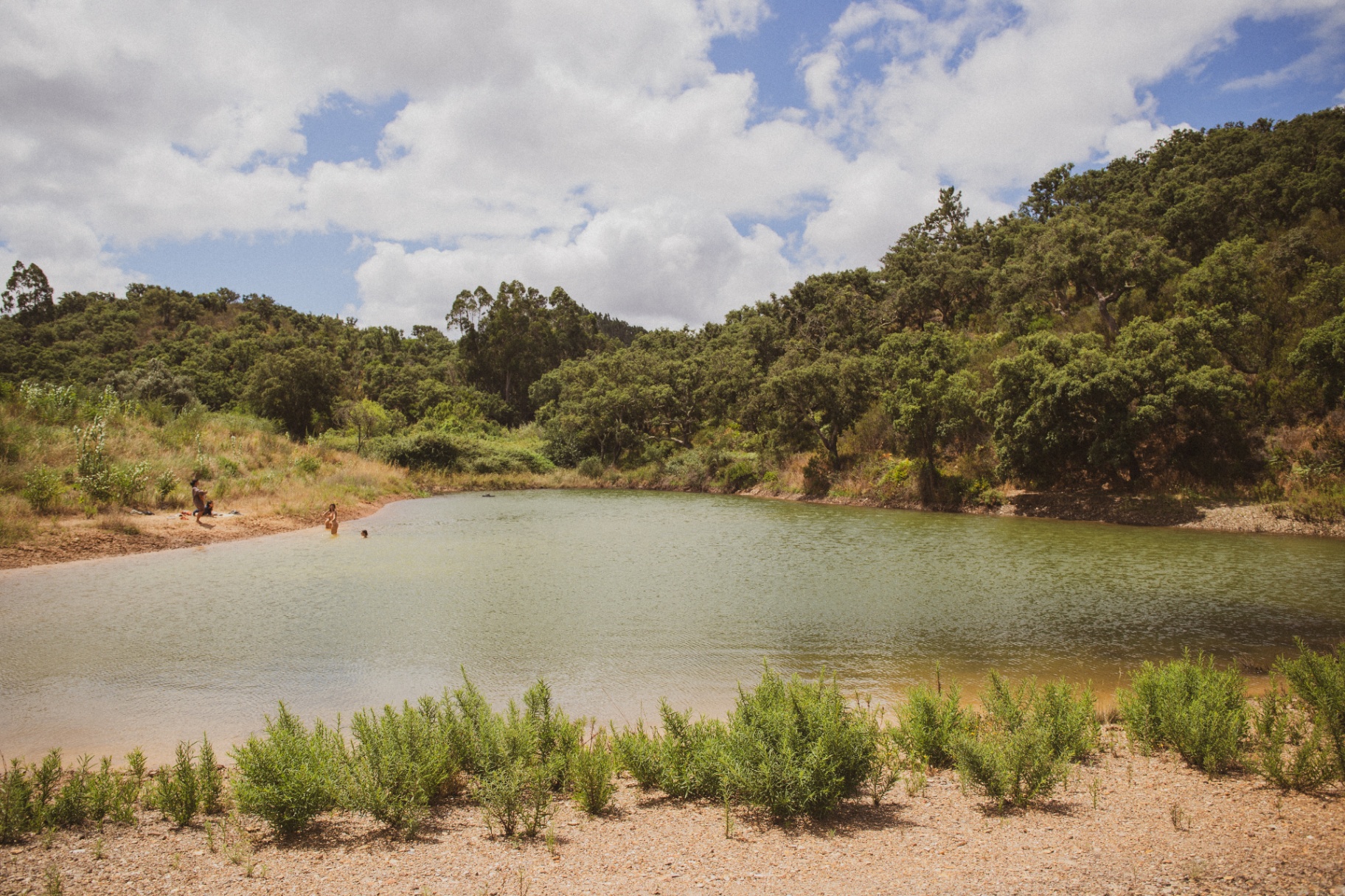 The restored lake, clear water held in the valley, surrounded by regenerating forest.